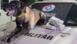 Droga é apreendida em operação com Exército Brasileiro na rodoviária