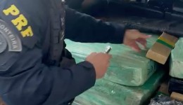 PRF apreende mais de 150 kg de maconha, fuzil e munições de fuzil no Paraná