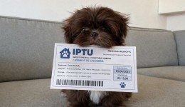 Prefeituras do Oeste estudam cobrar IPTU sobre casinhas de cachorro