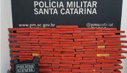 Operação em conjunto entre PMs de SC e RS aprende 110Kg de Maconha