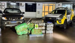 Caminhonete furtada em São Paulo é encontrada com quase 180 quilos de maconha no Paraná