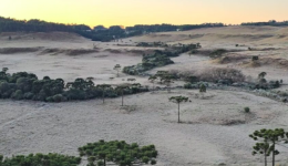 SC enfrenta mais um dia de onda de frio com geada e termômetros em -7°C