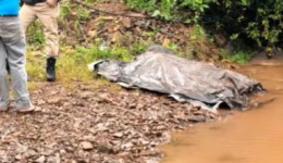 Homem de 25 anos é encontrado morto às margens de córrego