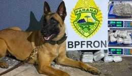 BPFRON prende jovem de 18 anos com maconha e haxixe