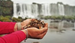 Quase 400 quilos de moedas são retirados das Cataratas do Iguaçu e acendem alerta ambiental