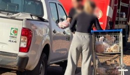 Vigilância Sanitária e Cidasc apreendem mais de 300 kg de produtos impróprios em supermercado