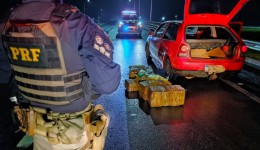 PRF apreende 163 kg de maconha em abordagem no elevado