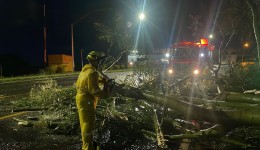 Vendaval violento atinge a Tri-Fronteira, derruba árvore, destelha casas e mobiliza equipes de emergência