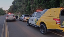 Homem é preso após roubo de veículo em Palma Sola