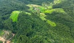 SC divulga abertura de inscrição no programa Mais Verde