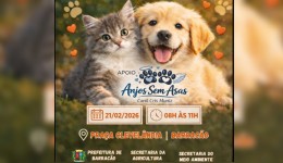 Município promove Feira de Adoção de Animais neste sábado (21)