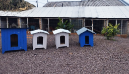Projeto da Penitenciária inicia construção de casinhas de cachorro com material reciclável