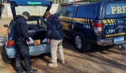 PRF e Polícia Civil apreendem 40 kg de drogas com adolescentes no Oeste de SC