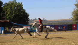XXV Rodeio Crioulo e Artístico Nacional será realizado entre 19 e 22 de março