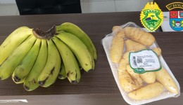 Homem é preso na Linha Três Passos com alimentos furtados em mercado de Dionísio Cerqueira