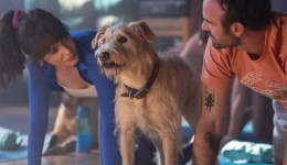 Confira filmes natalinos para assistir com a família