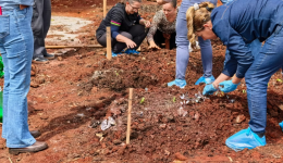 Município recebe curso para implantação e manutenção de horta comunitária