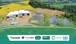 Sicoob São Miguel leva o cooperativismo catarinense à COP30