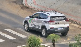 Cachorra é encontrada morta e pendurada em árvore