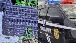 Corpo achado amordaçado pode ser de advogado venezuelano desaparecido em SC