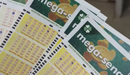 Apostador usa datas de aniversário da família e fatura R$ 145 mil com quatro quinas da Mega-Sena