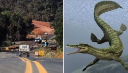 Obra de asfalto é paralisada em rodovia do Paraná devido a fósseis de animais mais antigos que dinossauros