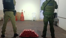 Cães farejadores ajudam polícia a apreender mais de 26 kg de maconha em ônibus