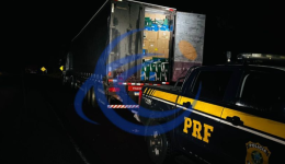 PRF apreende carga de tênis falsificados avaliada em R$ 784 mil