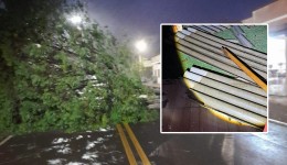 Temporal provoca queda de árvore e destelhamentos