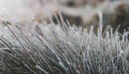 SC tem o inverno mais frio dos últimos 25 anos, aponta levantamento