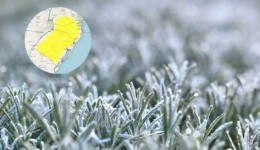 Mínimas de até 3°C e alerta de geada surpreendem quase 700 cidades do Sul do Brasil; veja onde o frio será maior