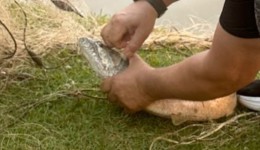 Pesca ilegal no Lago Municipal gera nota de repúdio da Administração