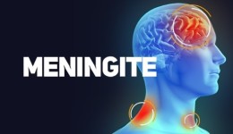 Secretaria de Estado da Saúde confirma 180 casos de meningite em SC