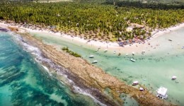 Barulho de barco e de turistas afeta comunicação de peixes, diz estudo