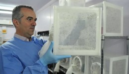 Brasileiro criador do “Aedes” que bloqueia dengue é eleito pela Nature L