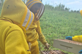 Município promove curso de implantação de apiários e criação racional de abelhas