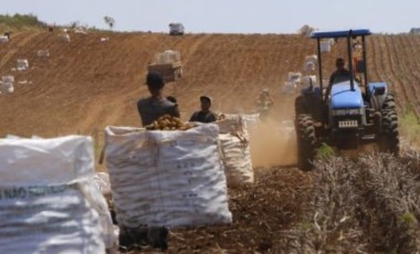 Dois Vizinhos e Palmas lideram a geração de emprego formal no sudoeste em janeiro