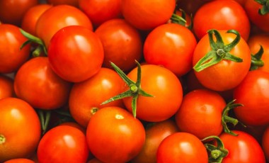 Tomate lidera queda nos preços das hortaliças em junho, aponta Conab