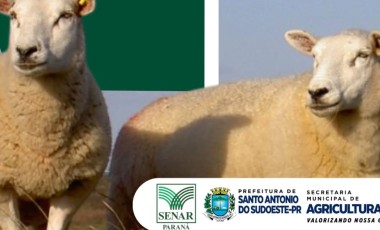 Secretaria de Agricultura e Senar promovem curso de Ovinocultura de Corte para produtores rurais