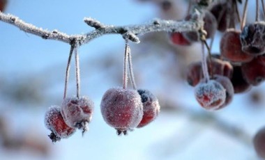 Menor temperatura do ano chega a -3,2°C em Santa Catarina