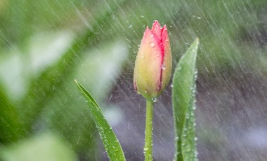 El Niño deve intensificar chuvas e temporais em Santa Catarina nos próximos meses