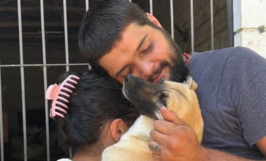 Cão desaparecido há 4 meses é reencontrado por tutores durante mutirão em SC