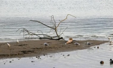 “Super El Niño” pode estar a caminho do Brasil e cria cenário de incerteza; entenda