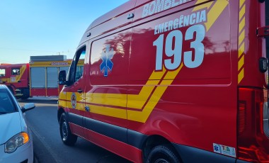 Homem morre após ataque de abelhas