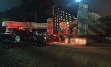 Carreta com quase 19 mil produtos é apreendida e prejuízo ao crime passa de R$ 482 mil