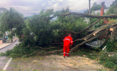Temporal provoca destelhamentos e queda de árvores em Concórdia