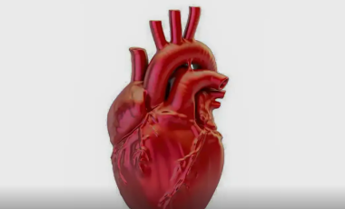 Brasil registra uma morte por doença cardiovascular a cada 72 segundos
