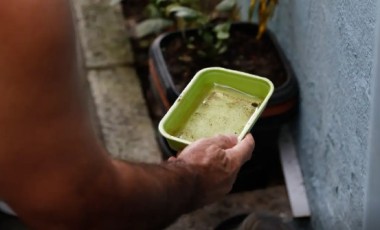 El Niño pode aumentar casos de chikungunya e dengue no Brasil