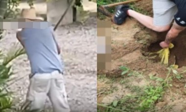 Idoso é preso após matar dois cães a golpes de machado