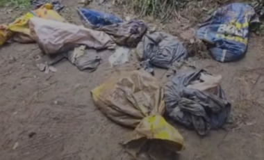 Dezenas de cães mortos são encontrados dentro de sacos de lixo em Lages